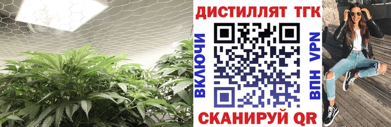 ТГК концентрат  Зубцов 