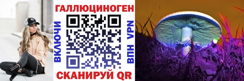 Псилоцибиновые грибы Psilocybe  darknet наркотические препараты  Зубцов 